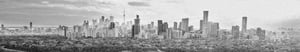 Toronto SkyLine