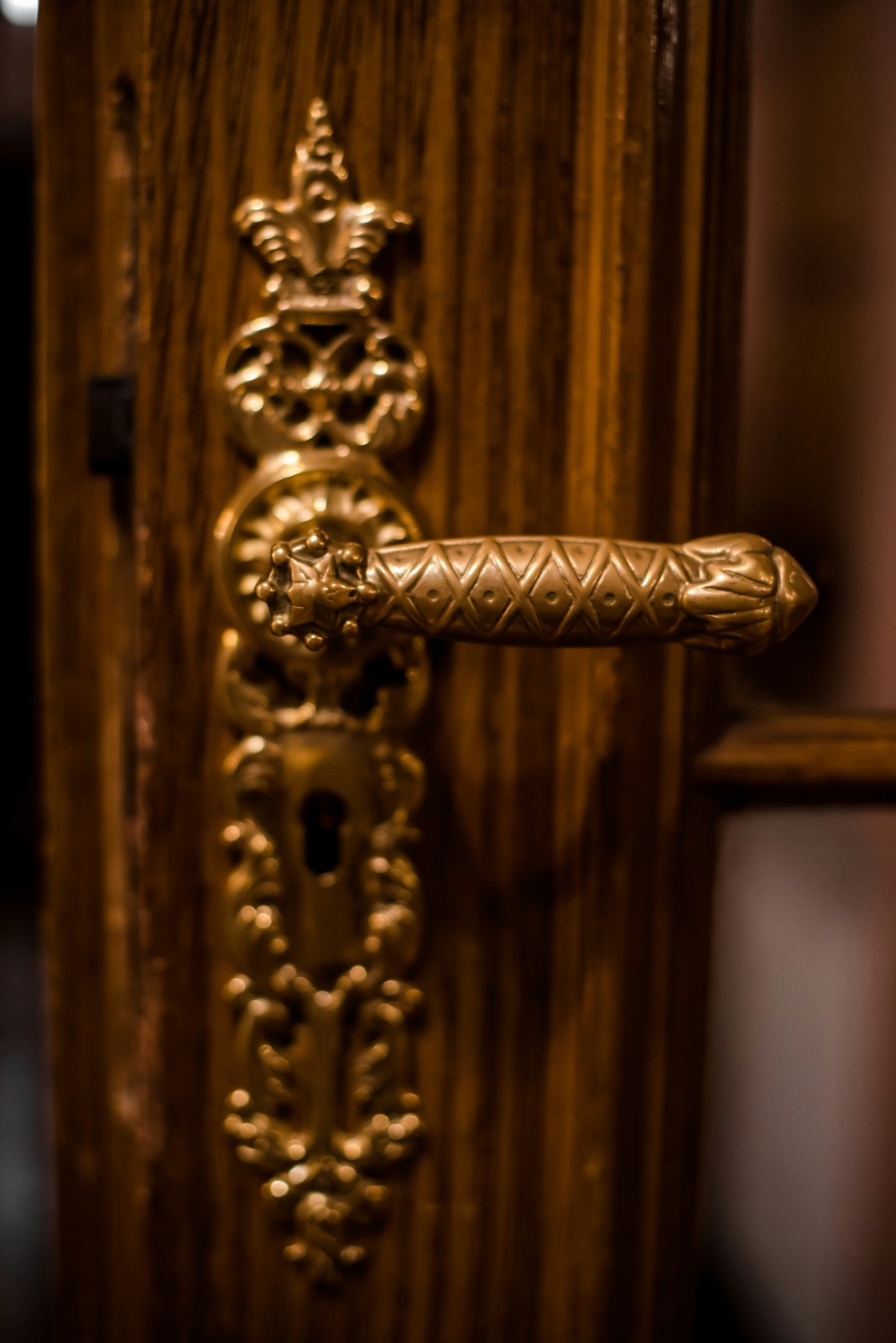 An ornate brass door handle